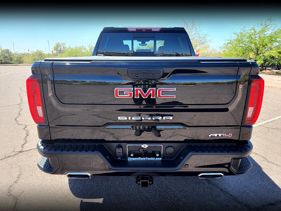 2019 Gmc Sierra 1500 AT4 photo 4