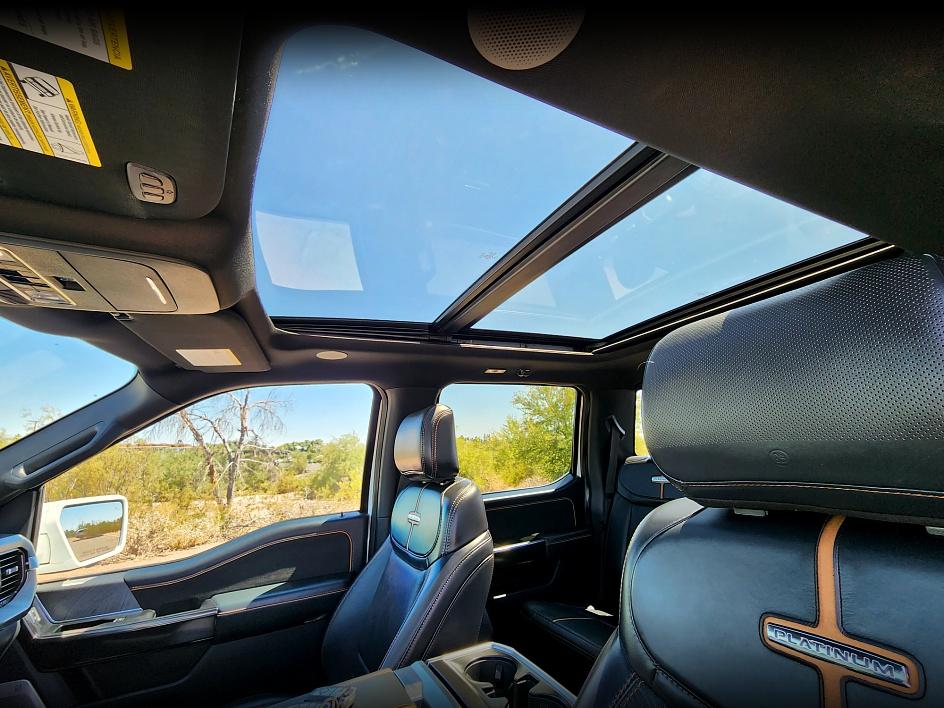 2021 Ford F-150 Platinum photo 14