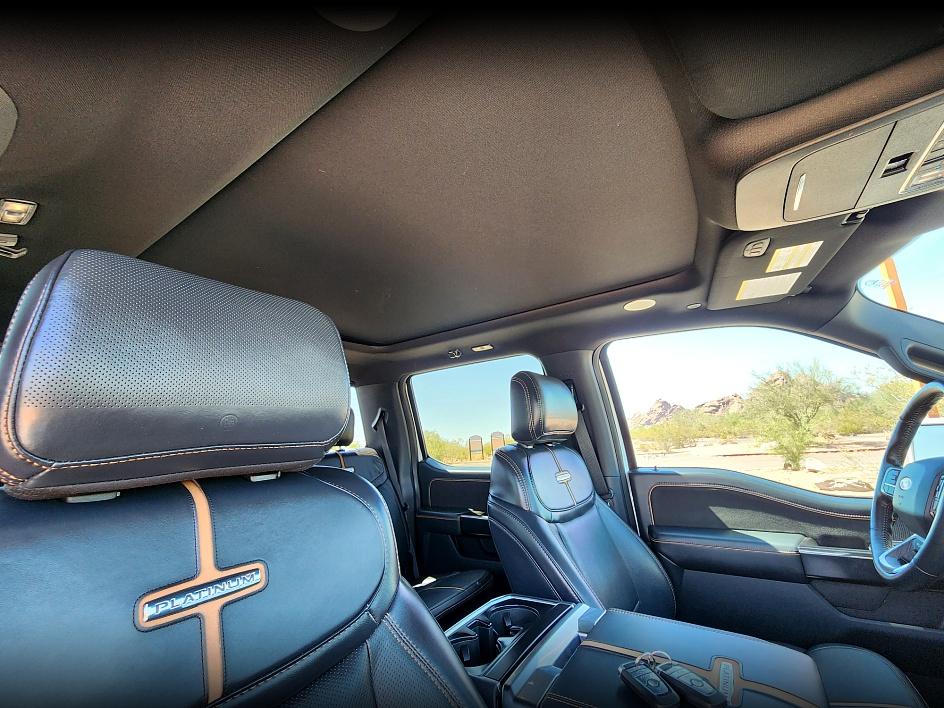 2021 Ford F-150 Platinum photo 21