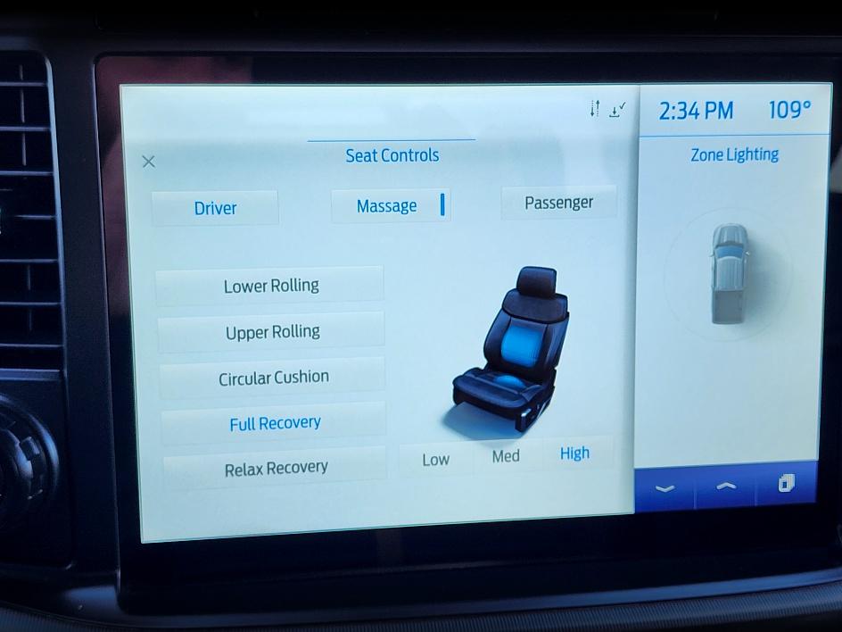 2021 Ford F-150 Platinum photo 31