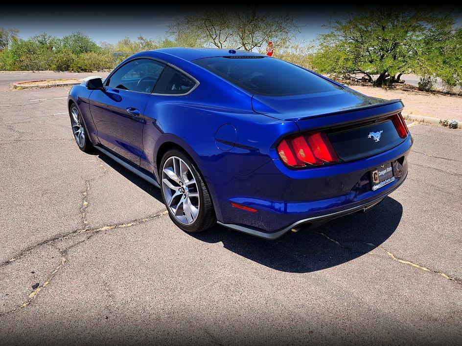 2016 Ford Mustang EcoBoost Premium photo 3